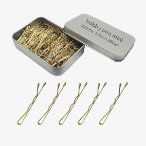 Mini Bobby Pins with Storage Box